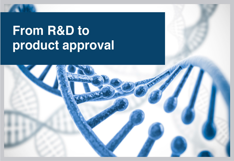 We can help bridge the gap between R&D and the regulatory requirements needed to place a product on the market